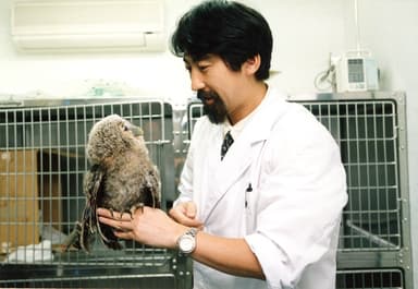 故　佐草 一優とフクロウの雛