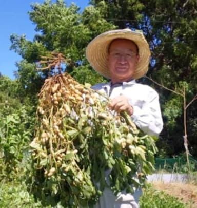 神崎落花生を残そうと奮闘されている生産者の村上氏