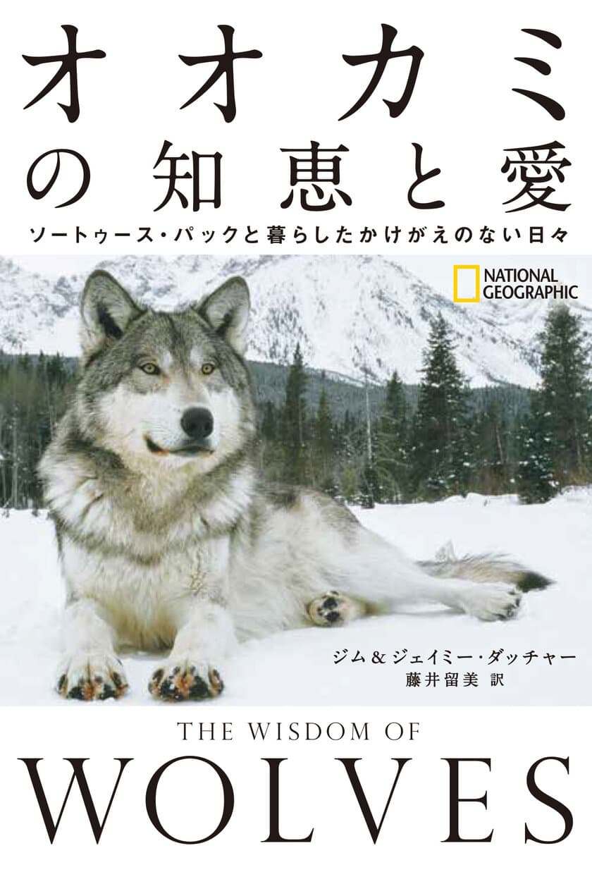 書籍『オオカミの知恵と愛
ソートゥース・パックと暮らしたかけがえのない日々』
発売中