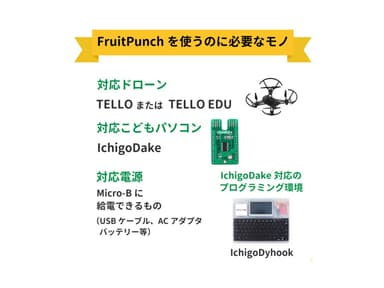 FruitPunchを使うために必要なモノ