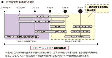 画像(3)