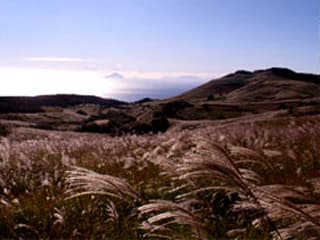 稲取細野高原すすき(日中の散策)