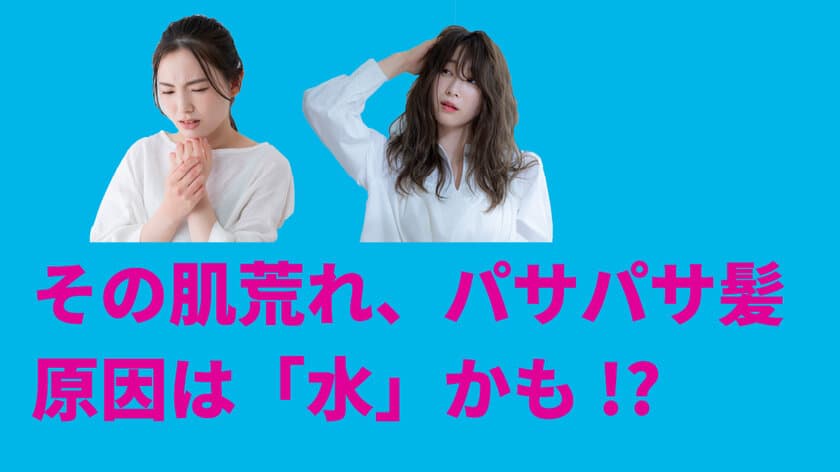 千葉県民は肌荒れ、パサパサ髪に要注意！？
水道水の違いによる「肌と髪の地域格差」を実態調査