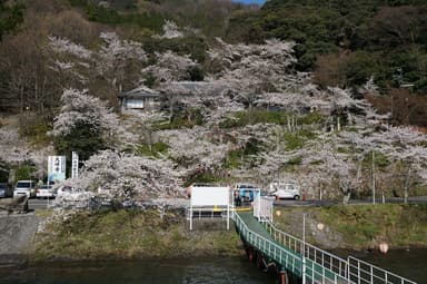 海津大崎港