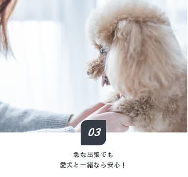 「Dog×Stay」プランの特徴3