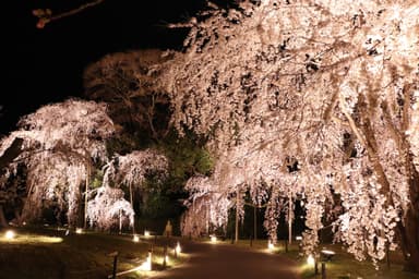 霊宝館 庭園