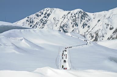 立山連峰を一望できるパノラマロード