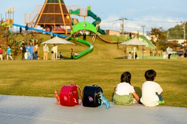 公園での夕日の反射