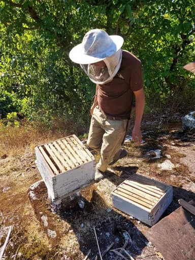 南ブータンでの東洋みつばちからの収穫