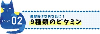 9種類のビタミン