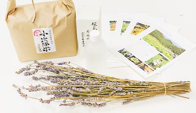 “3つの美活植物”と農場便りを自宅にお届け