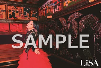 10th Anniversary Complete Book LiS"A"ni!（リサアニ！）