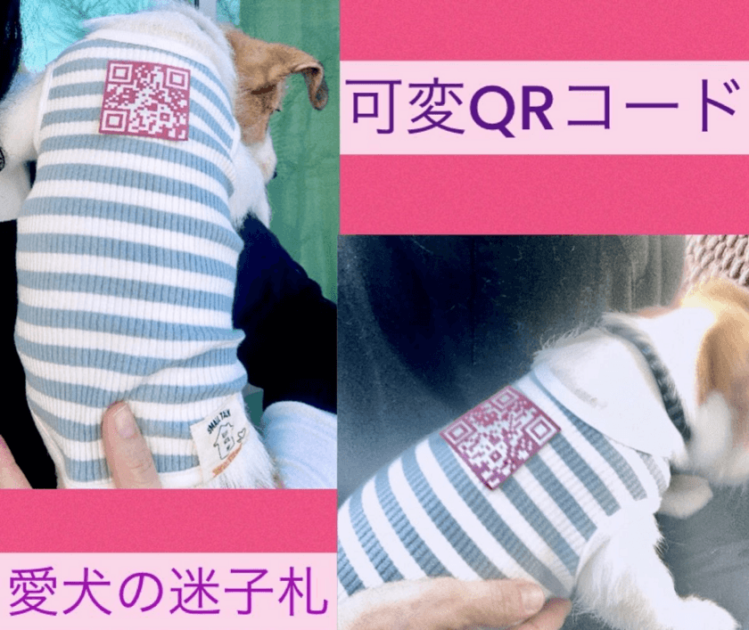 可変QRコードを犬猫のペット服に付けて迷子探し！
写真と連絡先が自由に書き換え可能