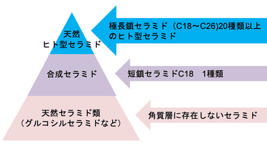 セラミドの種類