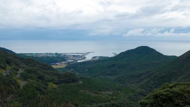 屋久島(白谷雲水峡からの写真)