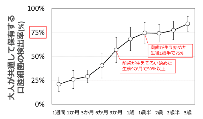 乳幼児期の早い段階(※1)からのお口のケアが大事！
生後6か月～1歳半は
大人の口腔細菌叢(※2)に大きく近づく重要な時期