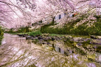 恩田川(1)