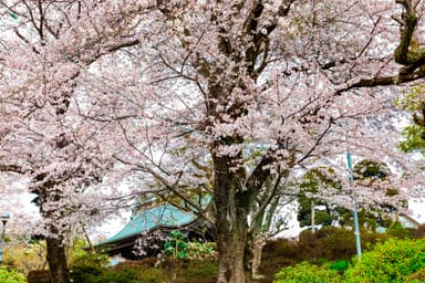 長福寺