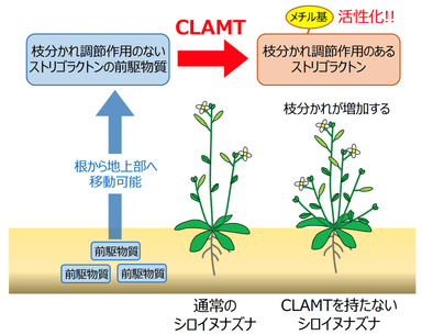 図（概要）