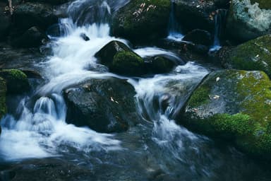 蔵王の伏流水を与える