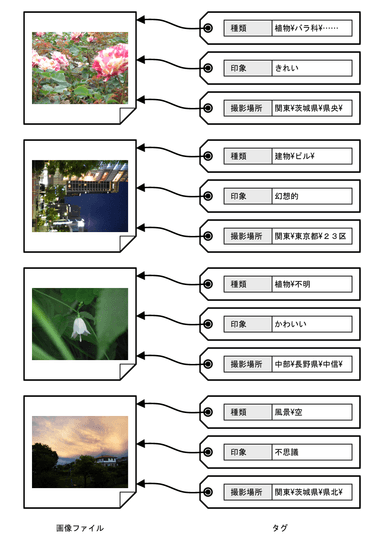 「見つかる フォトラベラー」のタグ