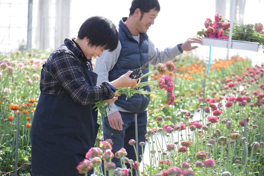 花のサブスクリプションサービス
「ハナノヒ365days」の新コース
「花農家のこだわり便」
生産者こだわりの花を毎月、
最良の開花状況に合わせてお届け
4月1日(金)申込受付開始