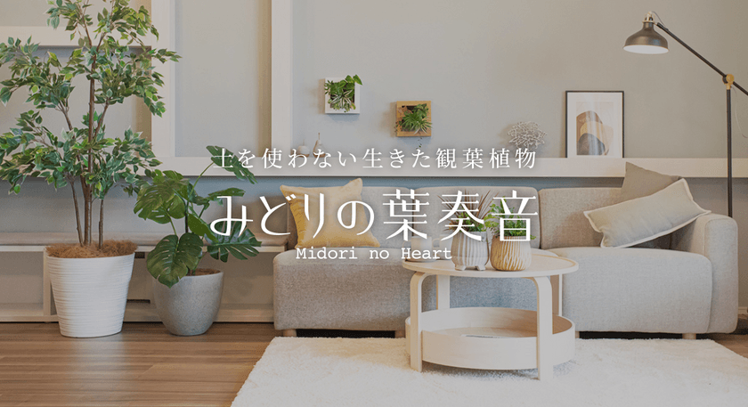 土を使わない生きた観葉植物専門店「みどりの葉奏音(ハート)」
オンラインショップを4月7日にOPEN