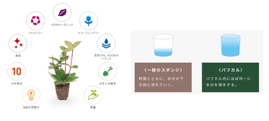 次世代の土「パフカル」