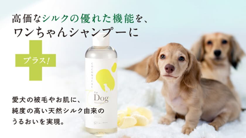 みどりまゆシルク配合、愛犬と飼い主の肌にやさしい低刺激
「COCONICAL犬用シャンプー」を4/5より一般販売開始