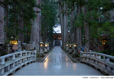 高野山 奥之院(写真提供：公益社団法人 和歌山県観光連盟)