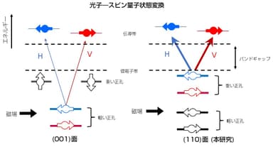 図2：光子―電子スピン量子状態変換の模式図。