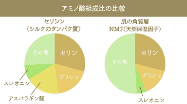 セリシンと肌のアミノ酸組成比