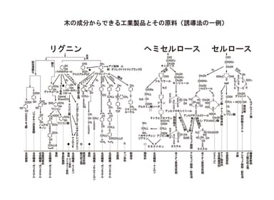 木の成分からできる工業製品と原料