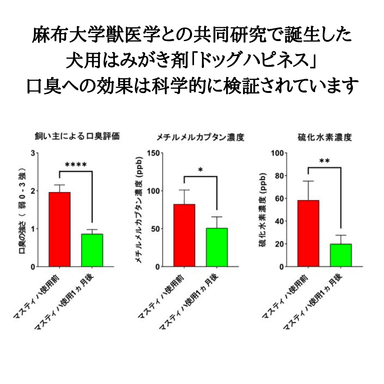 マスティックによる口臭・歯周病菌データ