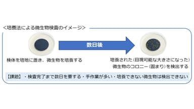 培養法による微生物検査のイメージ