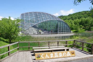 月夜野きのこ園ぐんま昆虫の森・新里(1)