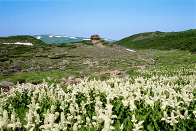 雲ノ平山荘の風景01