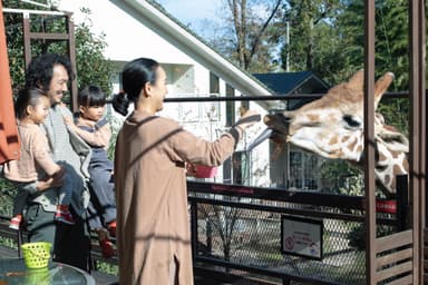 キリン専用のエサをお渡しします