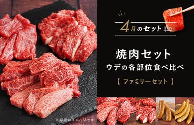 お肉の定期便4月分(一例)