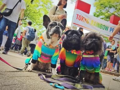 PRIDE PARADE | 東京レインボープライド