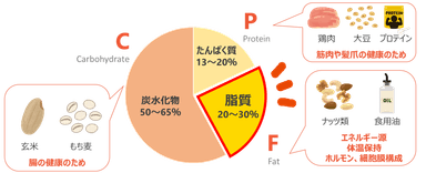 ダイエット中こそ押さえておきたい 「PFCバランス」 とは？