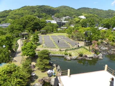 いけだ薪能　客席の様子