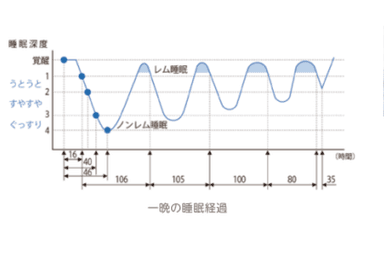 睡眠サイクル