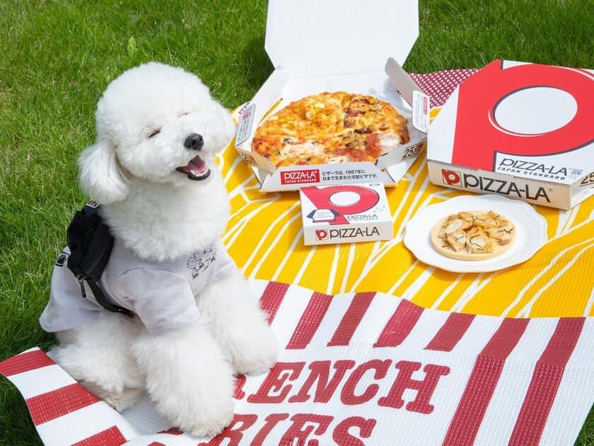 愛犬にもピザーラお届け！
犬用ピザ「コミフデリ　ピザーラテリヤキチキン」が
PIZZA-LA店舗にて宅配開始