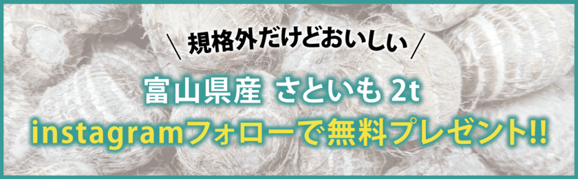 規格外野菜の定期宅配サービス「ロスヘル」にて、
期間限定で規格外の里芋2トンを完全無料プレゼント！
先着順で予約受付開始