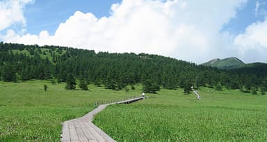 池の平湿原