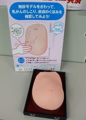 ※1 乳がん触診モデル