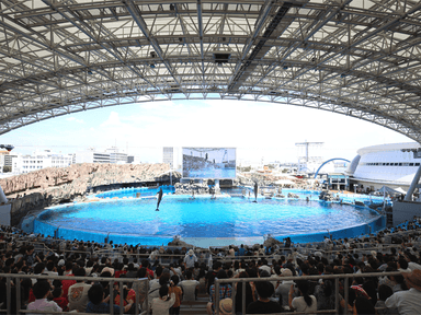 名古屋港水族館　日本最大メインプール