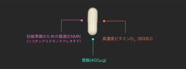 NMN(ニコチンアミドモノヌクレオチド)、高濃度ビタミンD3(800IU)、葉酸(400μg)