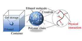 図1. 高分子ゲル球体内のエタノールの保持